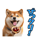 ダジャレ☆柴犬（個別スタンプ：31）