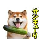 ダジャレ☆柴犬（個別スタンプ：35）