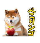 ダジャレ☆柴犬（個別スタンプ：37）