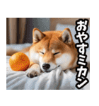 ダジャレ☆柴犬（個別スタンプ：40）