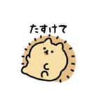 まんまるハリネズミ（文字付き）（個別スタンプ：14）