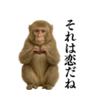 エロ・爆笑＠ニホンザルの日常会話（個別スタンプ：10）