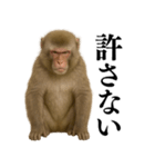 エロ・爆笑＠ニホンザルの日常会話（個別スタンプ：14）