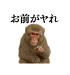 エロ・爆笑＠ニホンザルの日常会話（個別スタンプ：28）