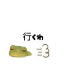 わが家のカエル（個別スタンプ：20）