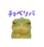 わが家のカエル（個別スタンプ：21）