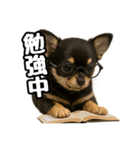 日常会話verチワワ（個別スタンプ：26）