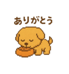 ピクセル犬の日常（個別スタンプ：3）