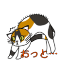 でことぽん（個別スタンプ：5）