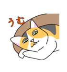 でことぽん（個別スタンプ：8）