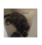 あいまりべるさますたんぷ（個別スタンプ：5）