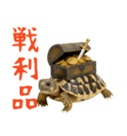 かわいくて使いやすい！ヘルマンリクガメ（個別スタンプ：39）