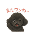 可愛いこんこん（個別スタンプ：9）
