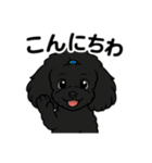 可愛いこんこん（個別スタンプ：17）
