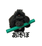 可愛いこんこん（個別スタンプ：19）