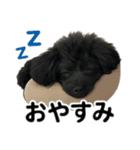 可愛いこんこん（個別スタンプ：22）