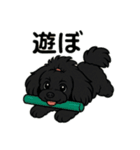 可愛いこんこん（個別スタンプ：23）