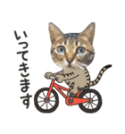 猫のすたんぷ。。。8（個別スタンプ：1）