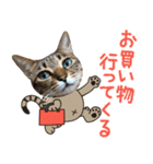 猫のすたんぷ。。。8（個別スタンプ：2）
