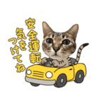 猫のすたんぷ。。。8（個別スタンプ：3）