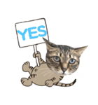 猫のすたんぷ。。。8（個別スタンプ：6）