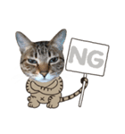 猫のすたんぷ。。。8（個別スタンプ：8）