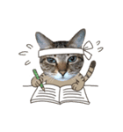 猫のすたんぷ。。。8（個別スタンプ：10）