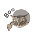 猫のすたんぷ。。。8（個別スタンプ：18）