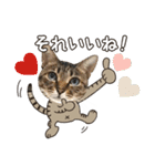 猫のすたんぷ。。。8（個別スタンプ：21）
