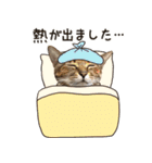 猫のすたんぷ。。。8（個別スタンプ：33）