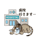 猫のすたんぷ。。。8（個別スタンプ：34）