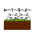 じろりねこ挨拶仲良しに送る（個別スタンプ：25）