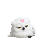 白い魔法のフクロウ (NT)（個別スタンプ：31）