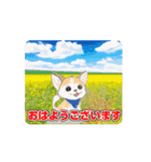 動く！かわいいチワワちゃん（個別スタンプ：4）