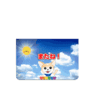 動く！かわいいチワワちゃん（個別スタンプ：5）