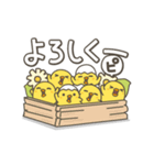 うごく！ひよこがいっぱい 日常スタンプ（個別スタンプ：12）