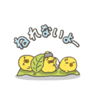 うごく！ひよこがいっぱい 日常スタンプ（個別スタンプ：21）