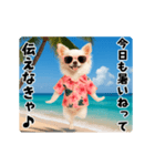 夏の♡エッホエッホ♪アロハチワワ（個別スタンプ：3）