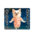夏の♡エッホエッホ♪アロハチワワ（個別スタンプ：12）