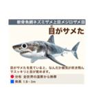 架空魚海の生き物図鑑（個別スタンプ：2）