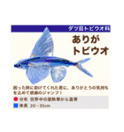 架空魚海の生き物図鑑（個別スタンプ：5）