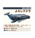 架空魚海の生き物図鑑（個別スタンプ：8）