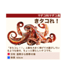 架空魚海の生き物図鑑（個別スタンプ：15）
