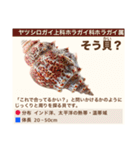 架空魚海の生き物図鑑（個別スタンプ：17）