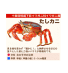 架空魚海の生き物図鑑（個別スタンプ：19）