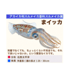架空魚海の生き物図鑑（個別スタンプ：20）