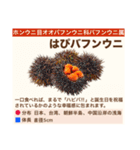 架空魚海の生き物図鑑（個別スタンプ：25）