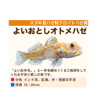 架空魚海の生き物図鑑（個別スタンプ：29）