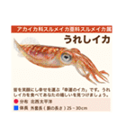 架空魚海の生き物図鑑（個別スタンプ：31）