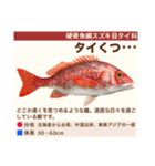 架空魚海の生き物図鑑（個別スタンプ：32）